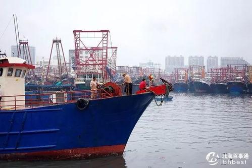 爆料渔船视频大全下载免费,免费下载渔船视频大全，尽享海洋魅力  第3张